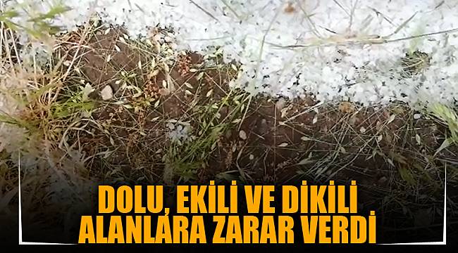DOLU, EKİLİ VE DİKİLİ ALANLARA ZARAR VERDİ