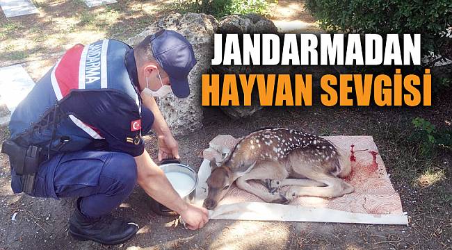 Jandarma ekipleri devriye sırasında buldu
