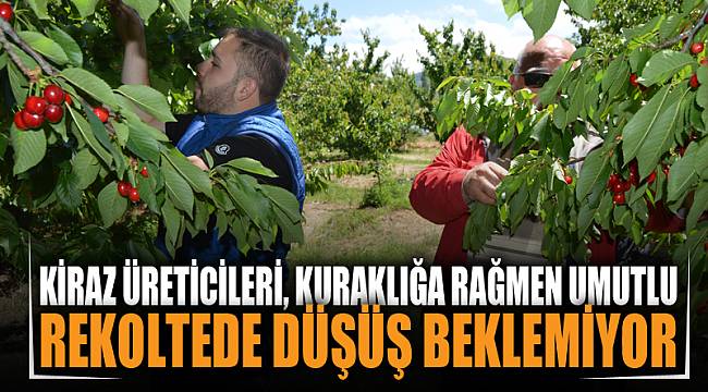 Kiraz üreticileri, kuraklığa rağmen rekoltede düşüş beklemiyor