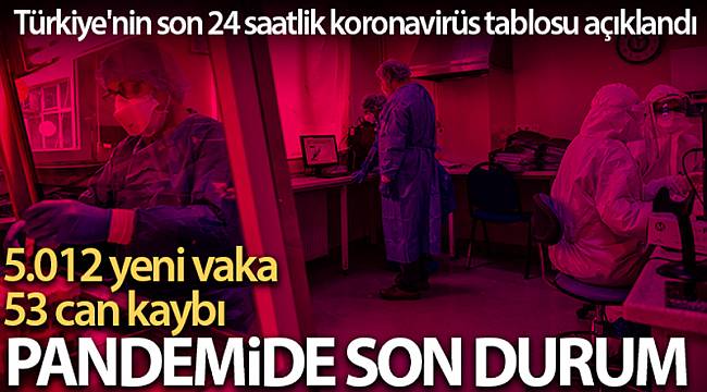 KORONAVİRÜS TABLOSU AÇIKLANDI