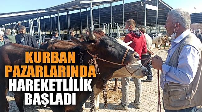 Kurban pazarlarında hareketlilik başladı