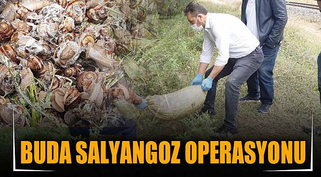 SALYANGOZ OPERASYONU