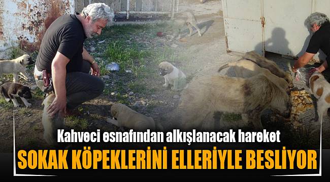 SOKAK KÖPEKLERİNİ ELLERİYLE BESLİYOR