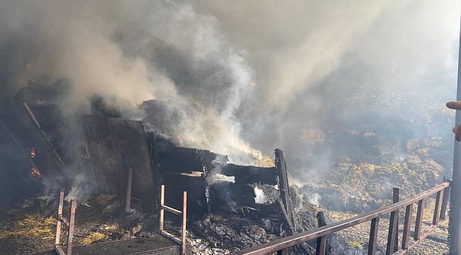 AFYON’DA SAMANLIK YANDI 3 HAYVAN TELEF OLDU