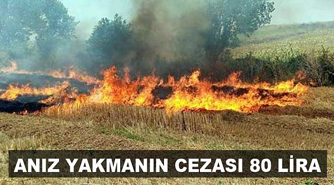 ANIZ YAKMANIN CEZASI 80 LİRA
