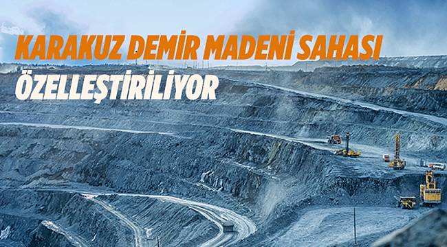 Demir madeni sahası özelleştiriliyor