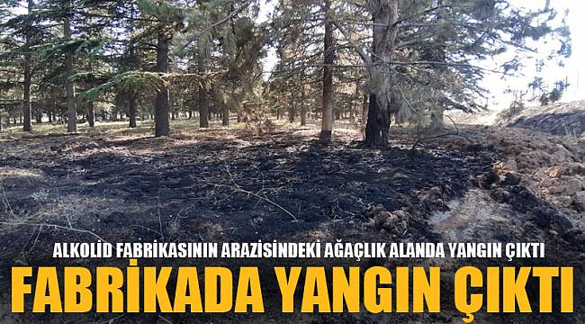 FABRİKADA YANGIN ÇIKTI