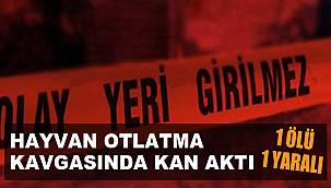 HAYVAN OTLATMA KAVGASINDA KAN AKTI