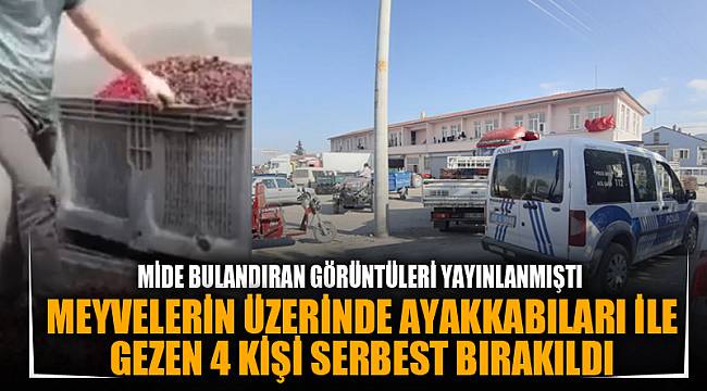 MEYVELERİN ÜZERİNDE AYAKKABILARI İLE GEZEN 4 KİŞİ SERBEST BIRAKILDI