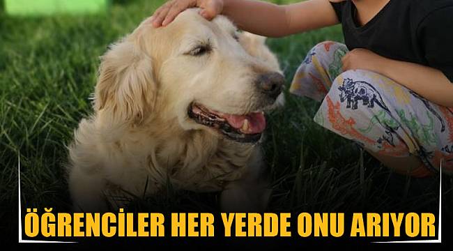 ÖĞRENCİLER HER YERDE ONU ARIYOR