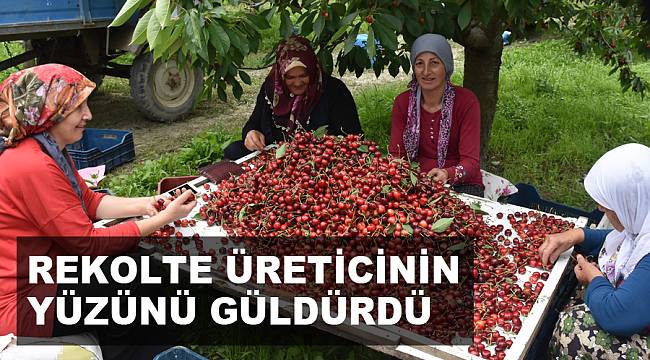 REKOLTE ÜRETİCİNİN YÜZÜNÜ GÜLDÜRDÜ