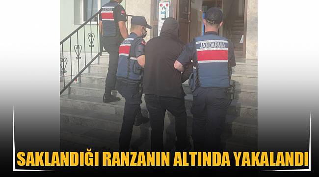Saklandığı ranzanın altında yakalandı