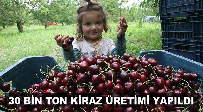 Sultandağı’nda 30 bin ton kiraz üretimi yapıldı