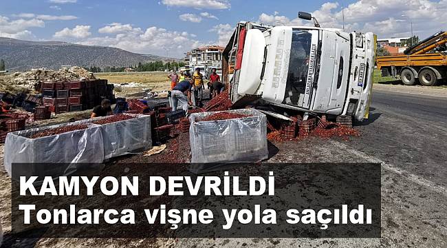 TONLARCA VİŞNE YOLA SAÇILDI