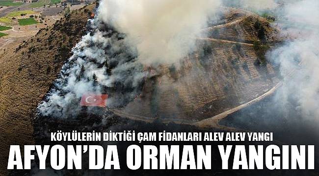 AFYON'DA ORMAN YANGINI