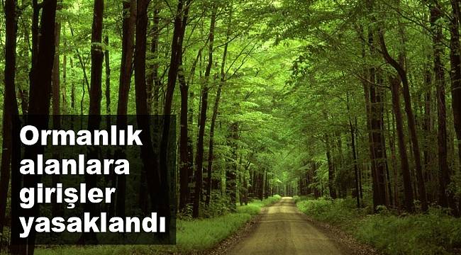 Afyonkarahisar'da ormanlık alanlara girişler yasaklandı