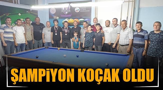 Amerikan Bilardo'da şampiyon Koçak oldu