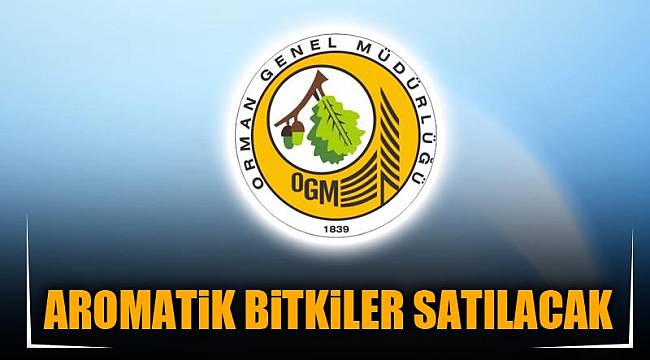 AROMATİK BİTKİLER SATILACAK