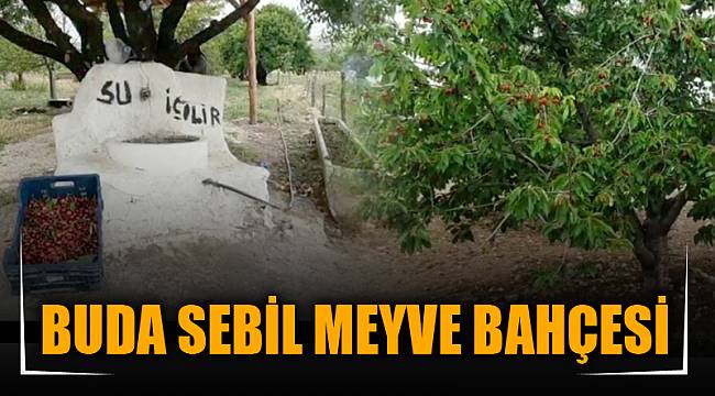 BUDA SEBİL MEYVE BAHÇESİ