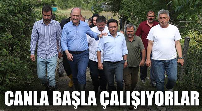 CANLA BAŞLA ÇALIŞIYORLAR