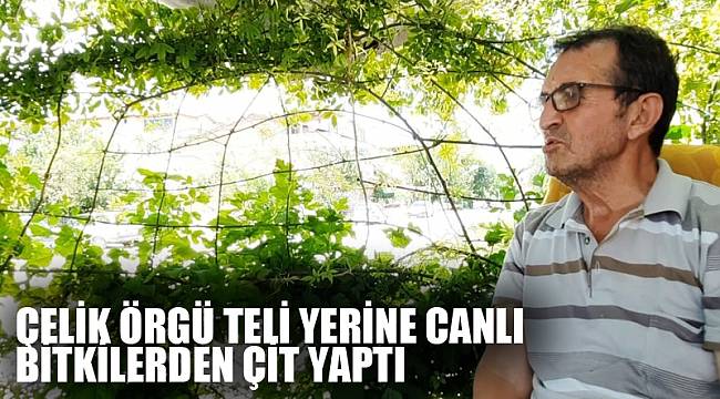 Çelik örgü teli yerine canlı bitkilerden çit yaptı
