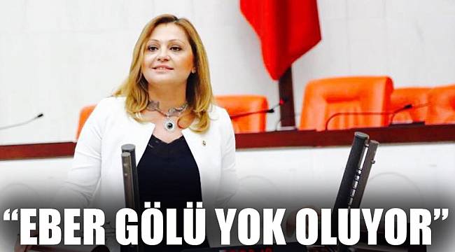 “EBER GÖLÜ YOK OLUYOR”