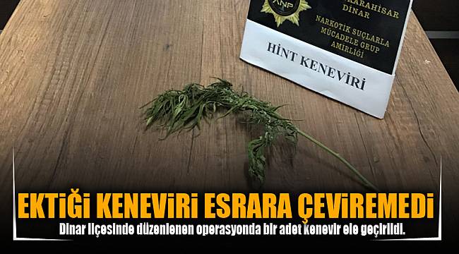EKTiĞi KENEViRi ESRARA ÇEViREMEDi
