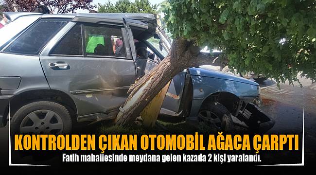 KONTROLDEN ÇIKAN OTOMOBİL AĞACA ÇARPTI