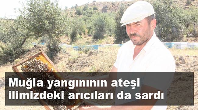 Muğla yangınının ateşi Afyonkarahisar'daki arıcıları da sardı