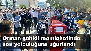 Orman şehidi memleketinde toprağa verildi 