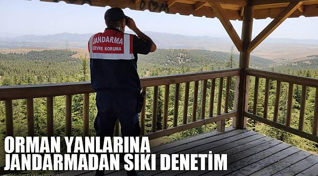 Orman yanlarına jandarmadan denetim