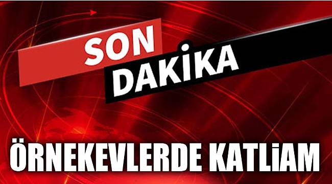 ÖRNEKEVLER'DE KATLİAM…