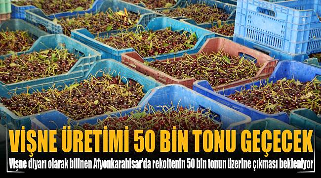 Vişne üretimi 50 bin tonun üzerine çıkacak