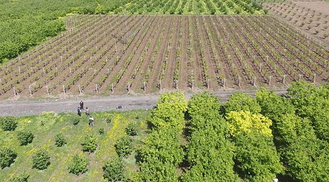 Çay'da tarımsal sulamanın işletmesi belediyeye devredildi