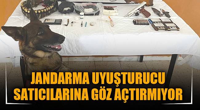 JANDARMA UYUŞTURUCU SATICILARINA GÖZ AÇTIRMIYOR