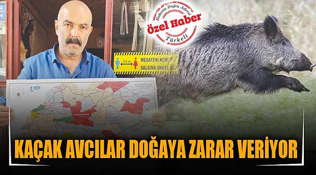 KAÇAK AVCILAR DOĞAYA ZARAR VERİYOR
