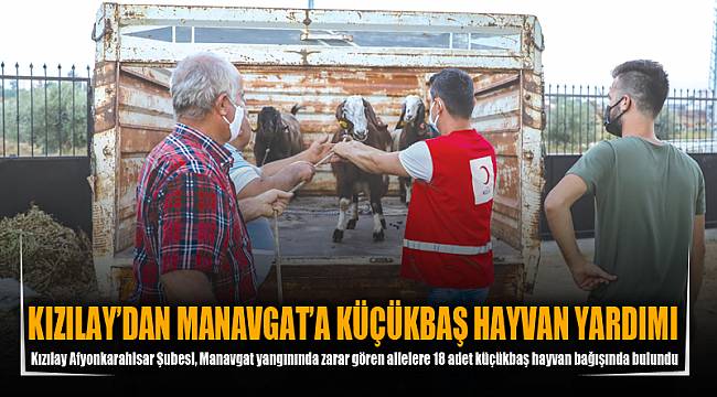 KIZILAY’DAN MANAVGAT’A KÜÇÜKBAŞ HAYVAN YARDIMI