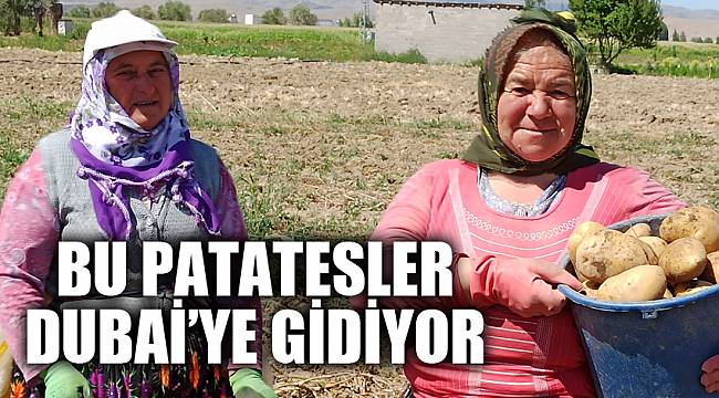 ŞUHUT'TAN DUBAİ'YE KIŞLIK PATATES İHRACATI