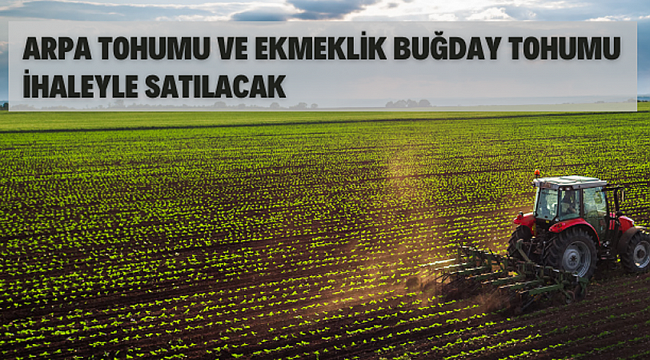 Türkşeker Tarım A.Ş.'den arpa tohumu ve ekmeklik buğday tohumu satış ihalesi