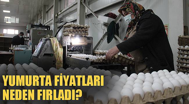 YUMURTA FİYATLARI NEDEN FIRLADI?