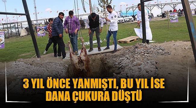 3 YIL ÖNCE YANMIŞTI, BU YIL İSE DANA ÇUKURA DÜŞTÜ