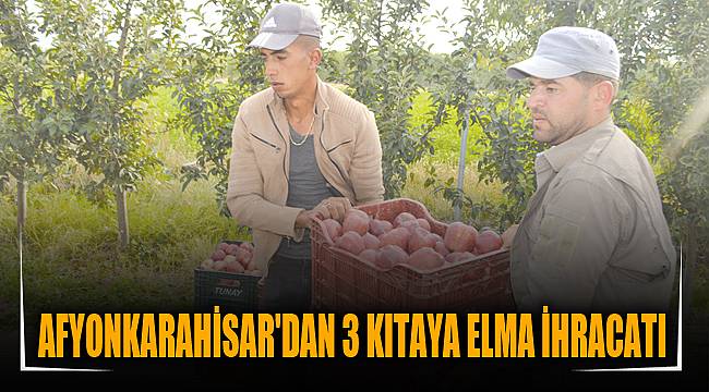 AFYONKARAHİSAR'DAN 3 KITAYA ELMA İHRACATI
