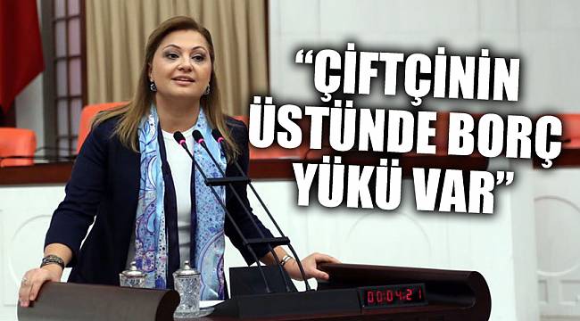 “Çiftçinin üstünde borç yükü var”