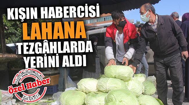 KIŞIN HABERCİSİ LAHANA TEZGÂHLARDA YERİNİ ALDI