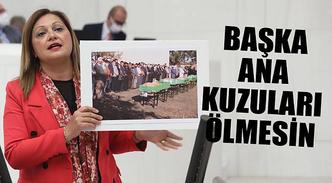 Köksal: Başka ana kuzuları ölmesin