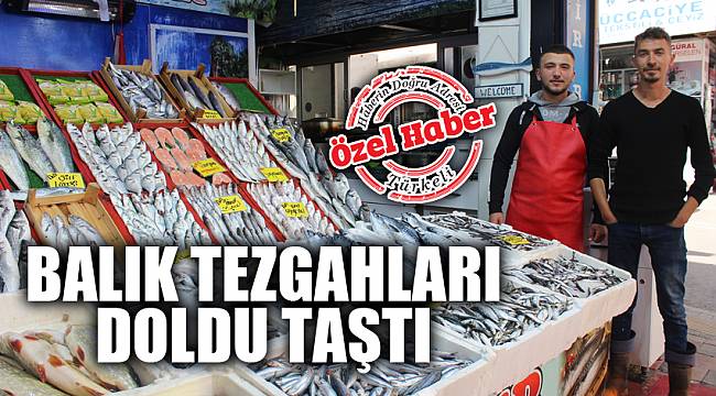 TEZGÂHLAR BALIKLARLA DOLDU TAŞTI