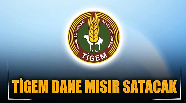 TİGEM DANE MISIR SATACAK