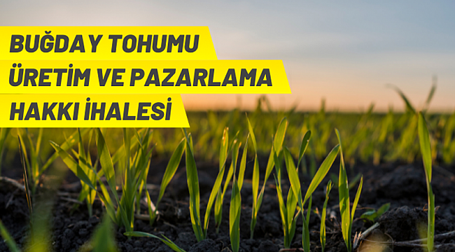 Tohumluk üretim ve pazarlama hakkı ihale ilanı