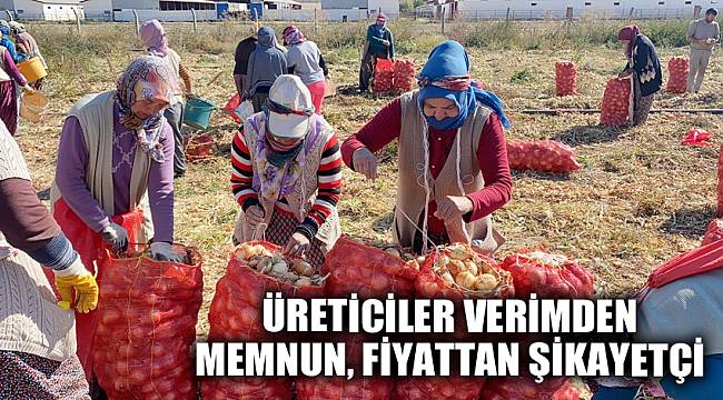 ÜRETİCİLER VERİMDEN MEMNUN, FİYATTAN ŞİKAYETÇİ