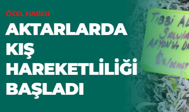 AKTARLARDA KIŞ HAREKETLİLİĞİ BAŞLADI